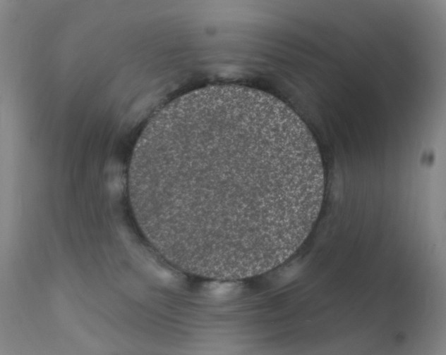 X0000111870135200909031825