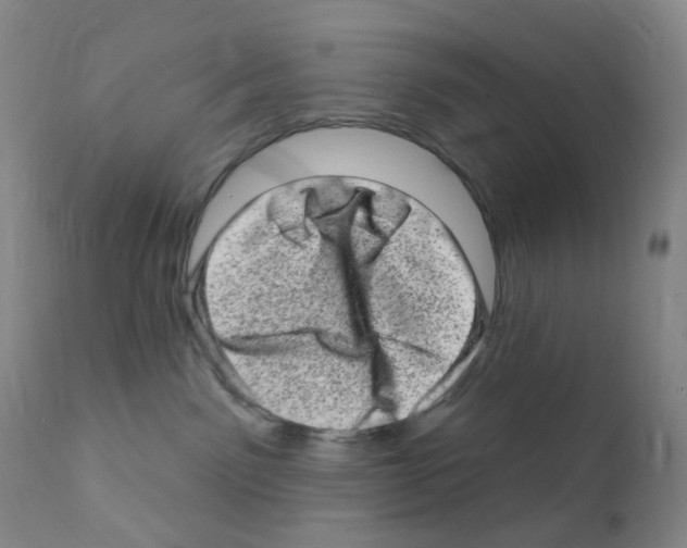 X0000111870141200909031824