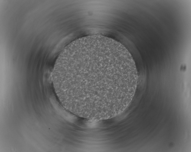 X0000111870142200909031824