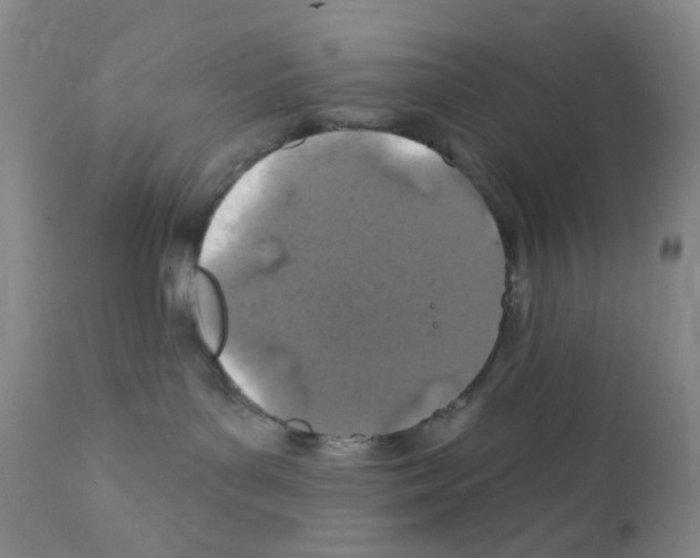 X0000111870143200909031824