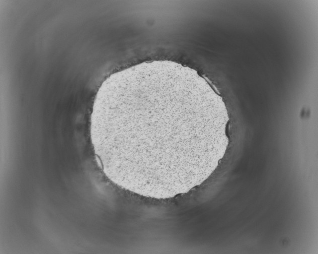 X0000111870144200909031824