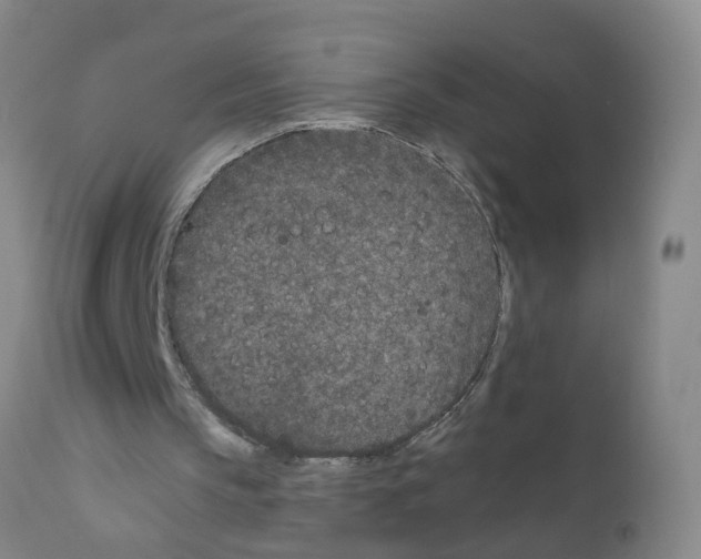 X0000111870145200909031824