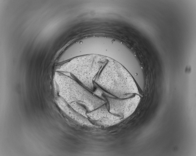 X0000111870146200909031824