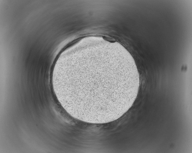 X0000111870148200909031824