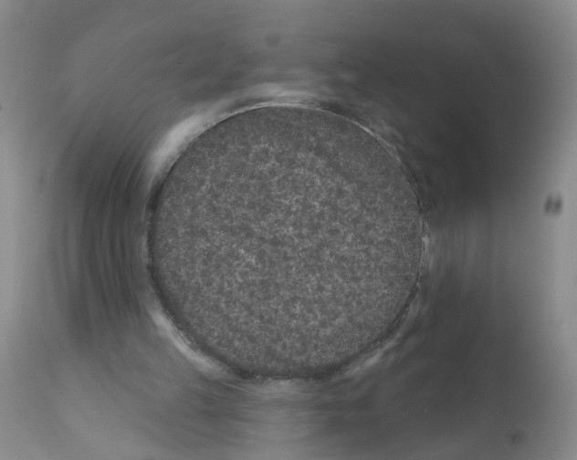 X0000111870149200909031824