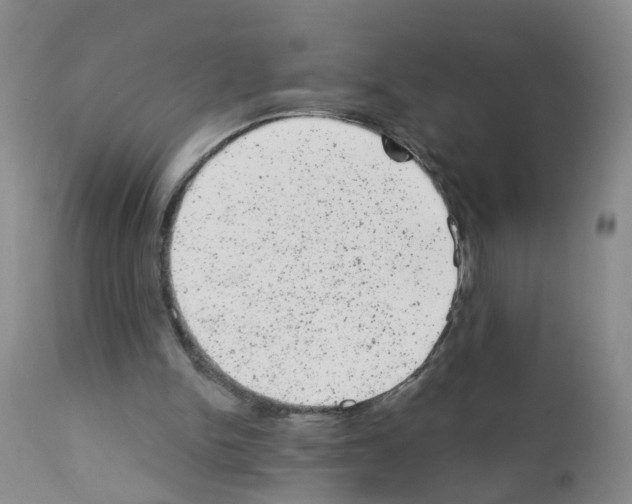 X0000111870150200909031824