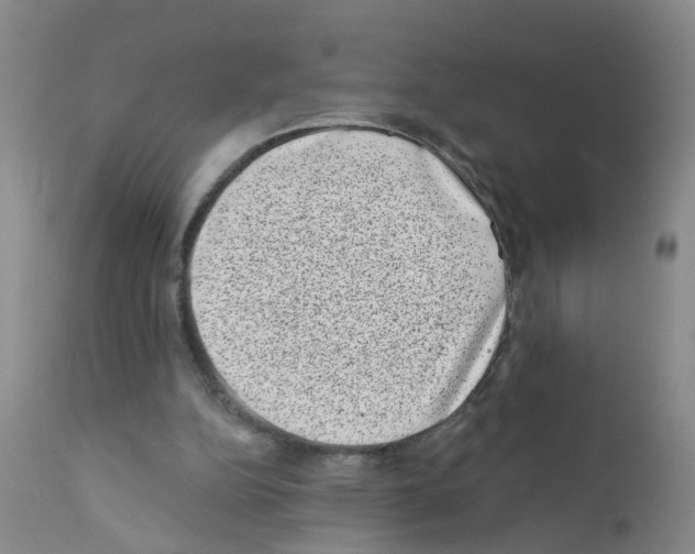 X0000111870152200909031824