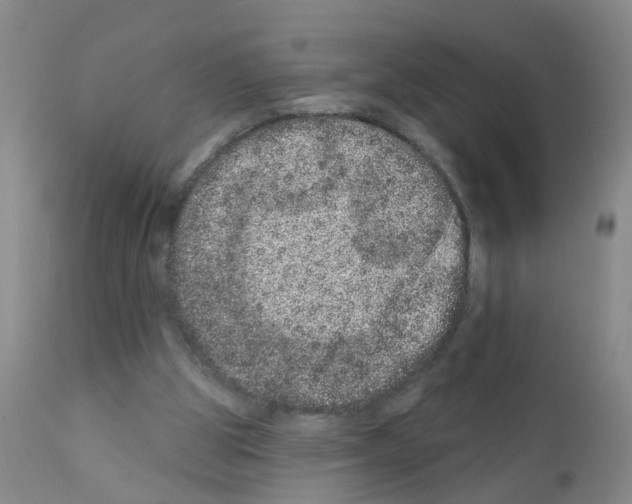 X0000111870153200909031824