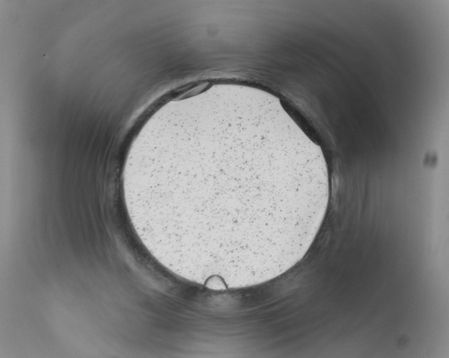 X0000111870156200909031824