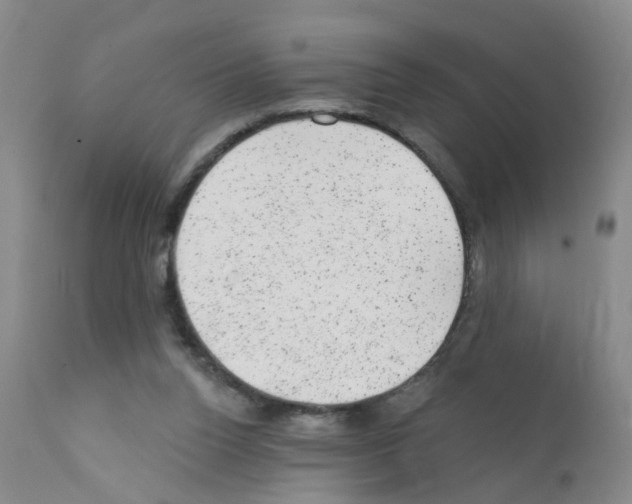 X0000111870160200909031824