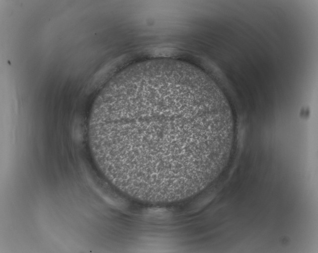 X0000111870161200909031824