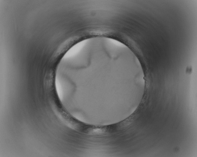 X0000111870163200909031824