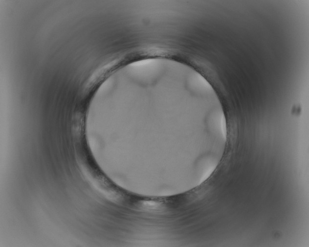 X0000111870167200909031824