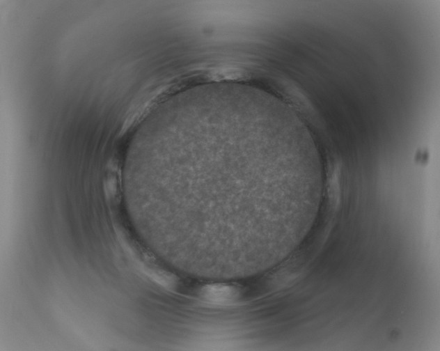 X0000111870169200909031824