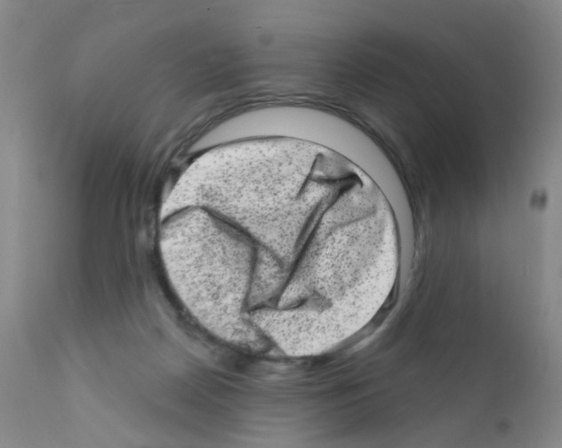 X0000111870170200909031824