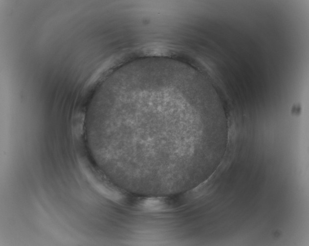 X0000111870171200909031824