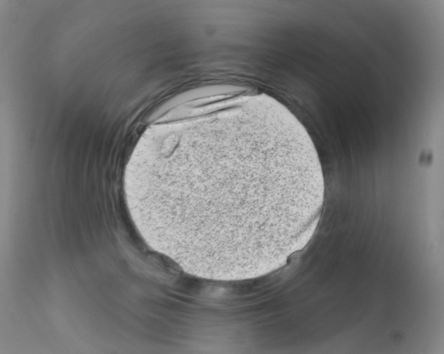 X0000111870174200909031824