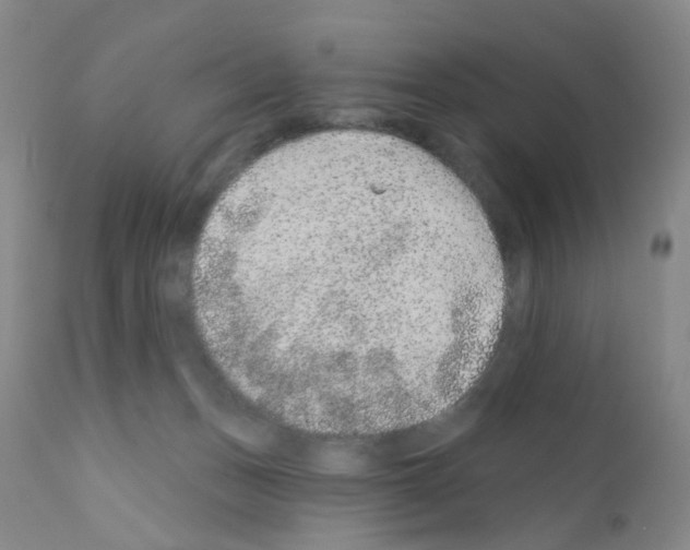 X0000111870175200909031824