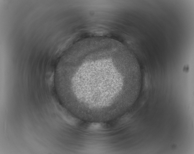 X0000111870177200909031824