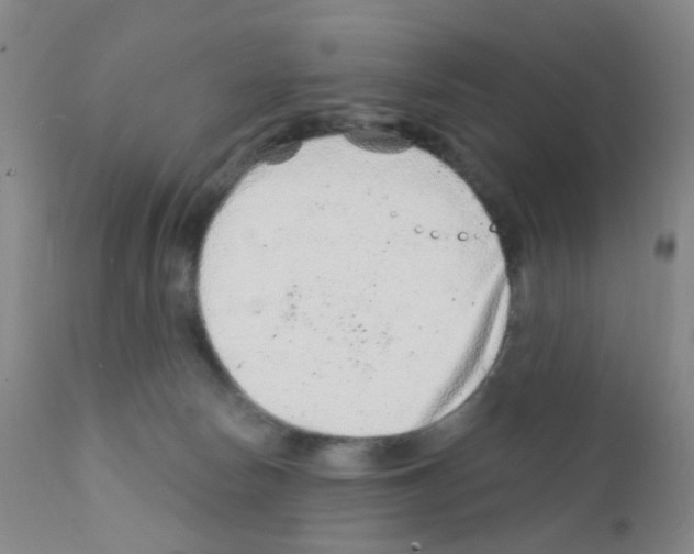 X0000111870178200909031824