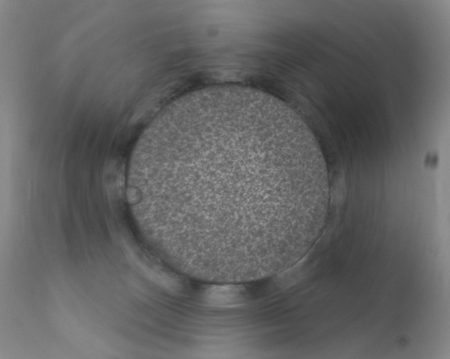 X0000111870179200909031824