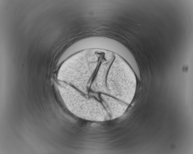 X0000111870180200909031824