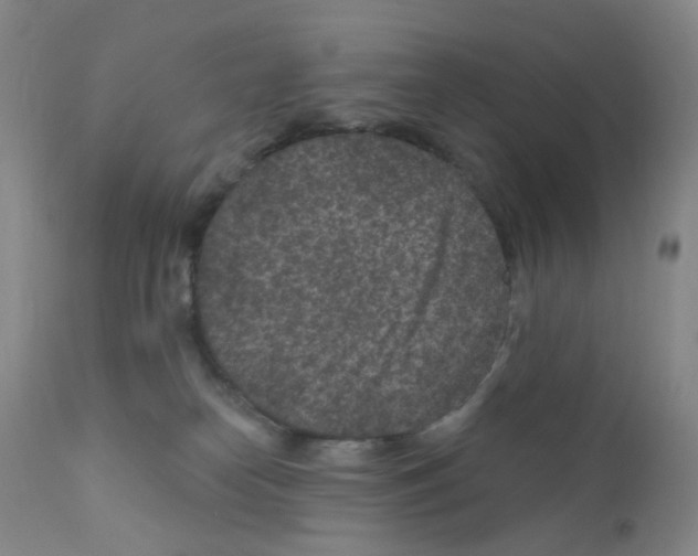 X0000111870182200909031824