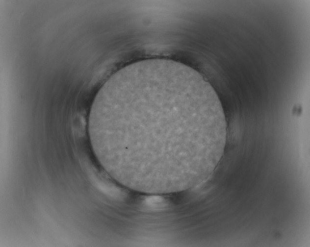 X0000111870183200909031824