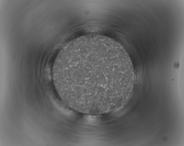 X0000111870187200909031824