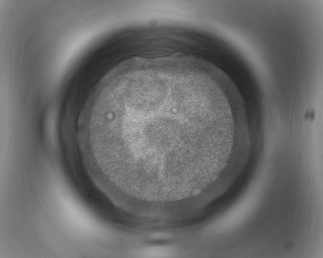 X0000111870189200909031824