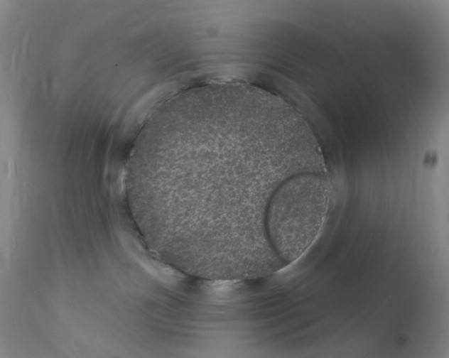 X0000111870191200909031824