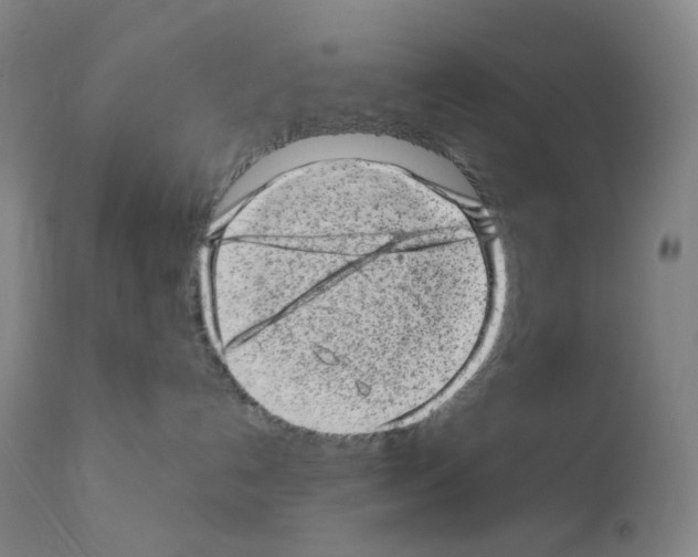 X0000111870192200909031824