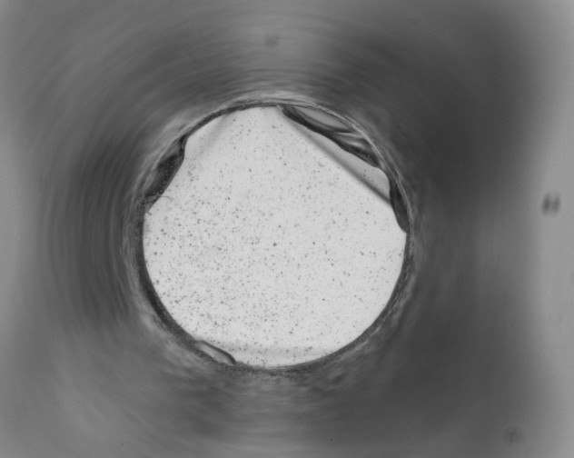 X0000111870193200909031824