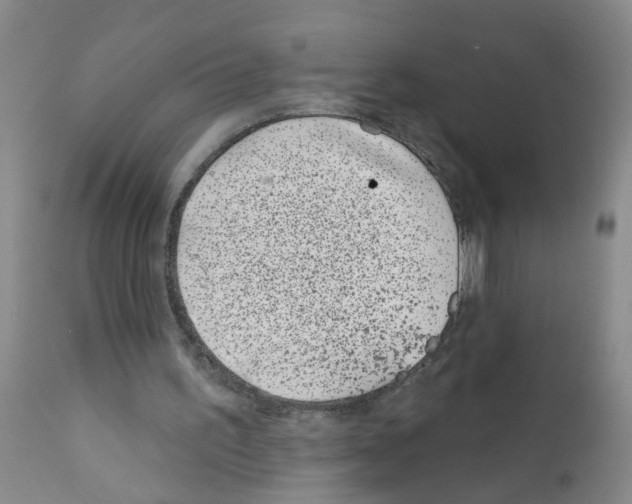 X0000111870195200909031824