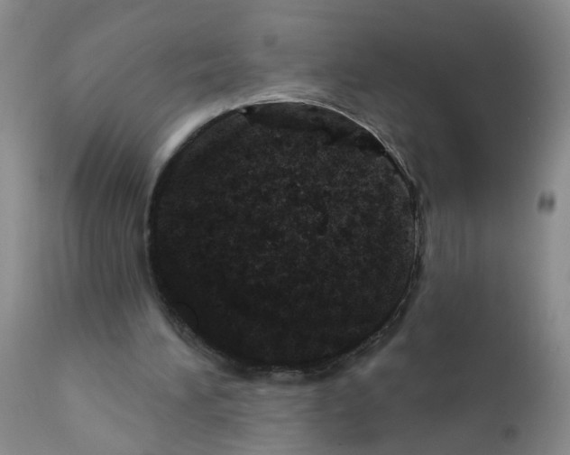 X0000111870196200909031824