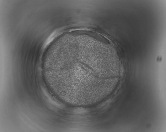 X0000111870198200909031824