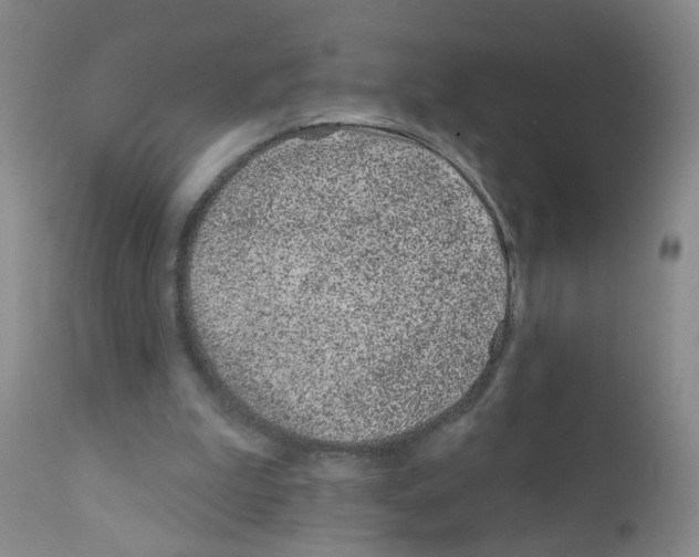 X0000111870199200909031824