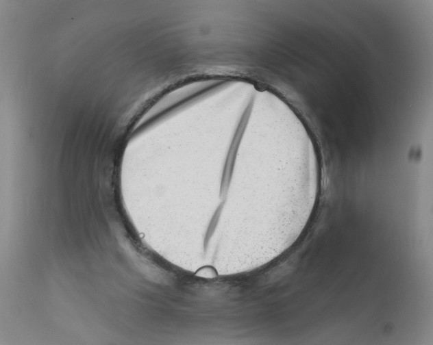 X0000111870201200909031823