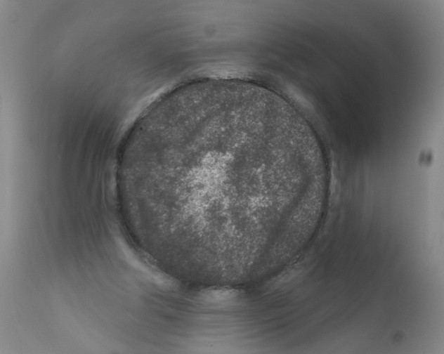 X0000111870202200909031823