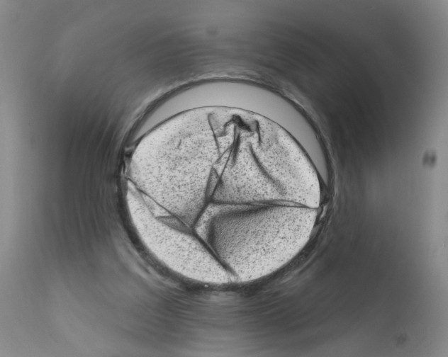 X0000111870203200909031823