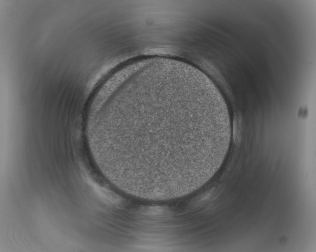 X0000111870204200909031823