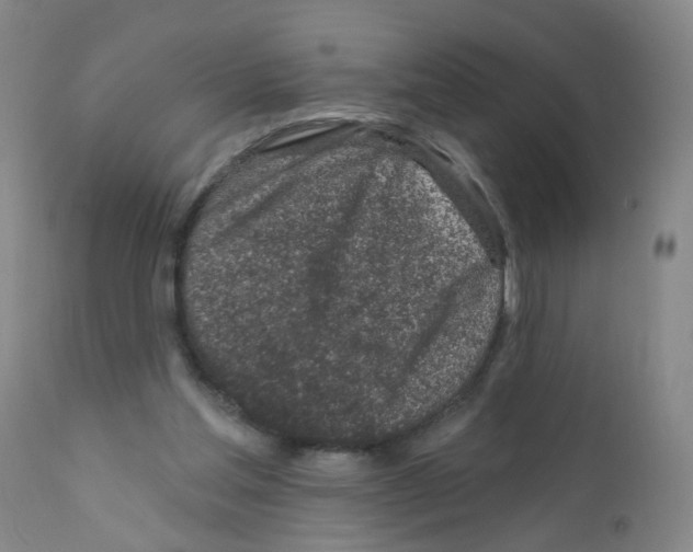 X0000111870205200909031823