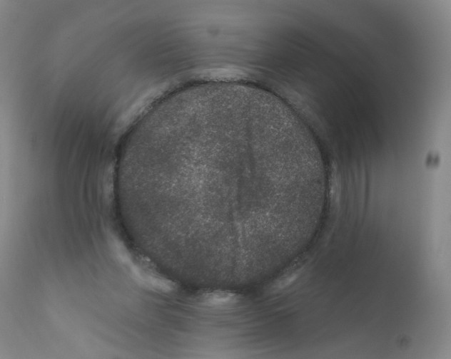 X0000111870206200909031823