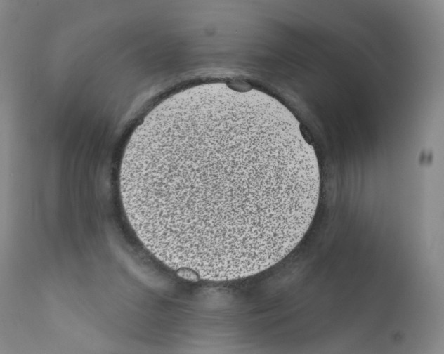 X0000111870207200909031823