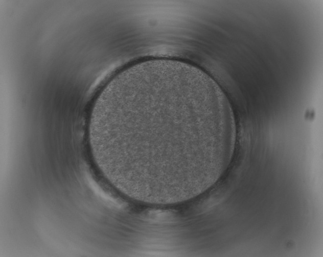 X0000111870208200909031823