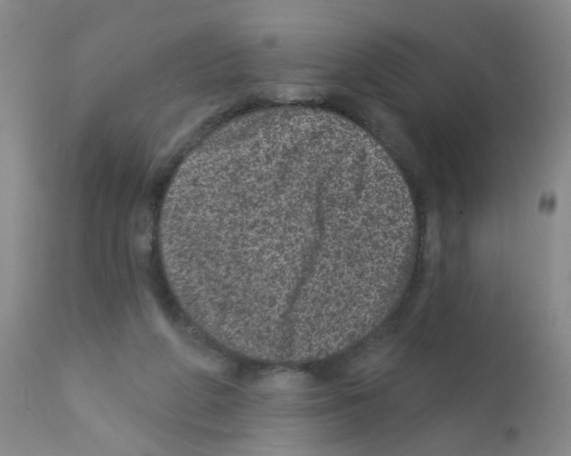 X0000111870210200909031823