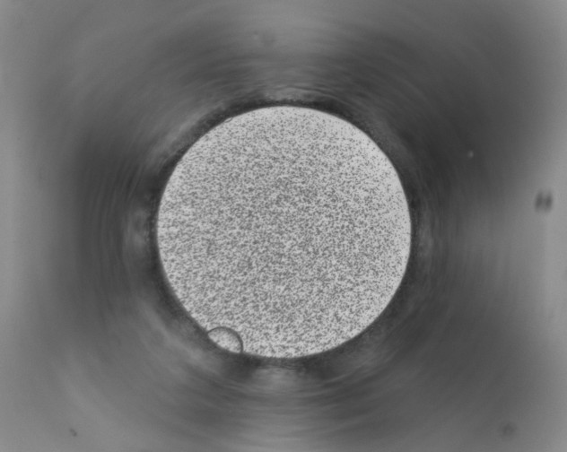 X0000111870211200909031823