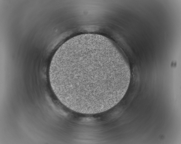 X0000111870212200909031823