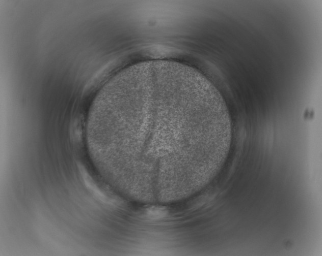 X0000111870214200909031823