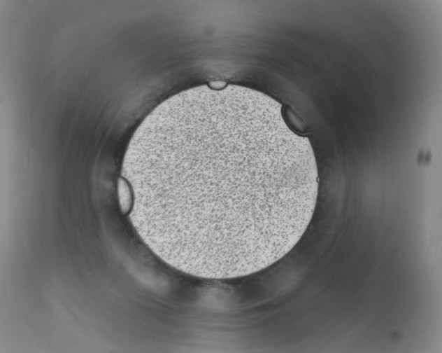 X0000111870215200909031823